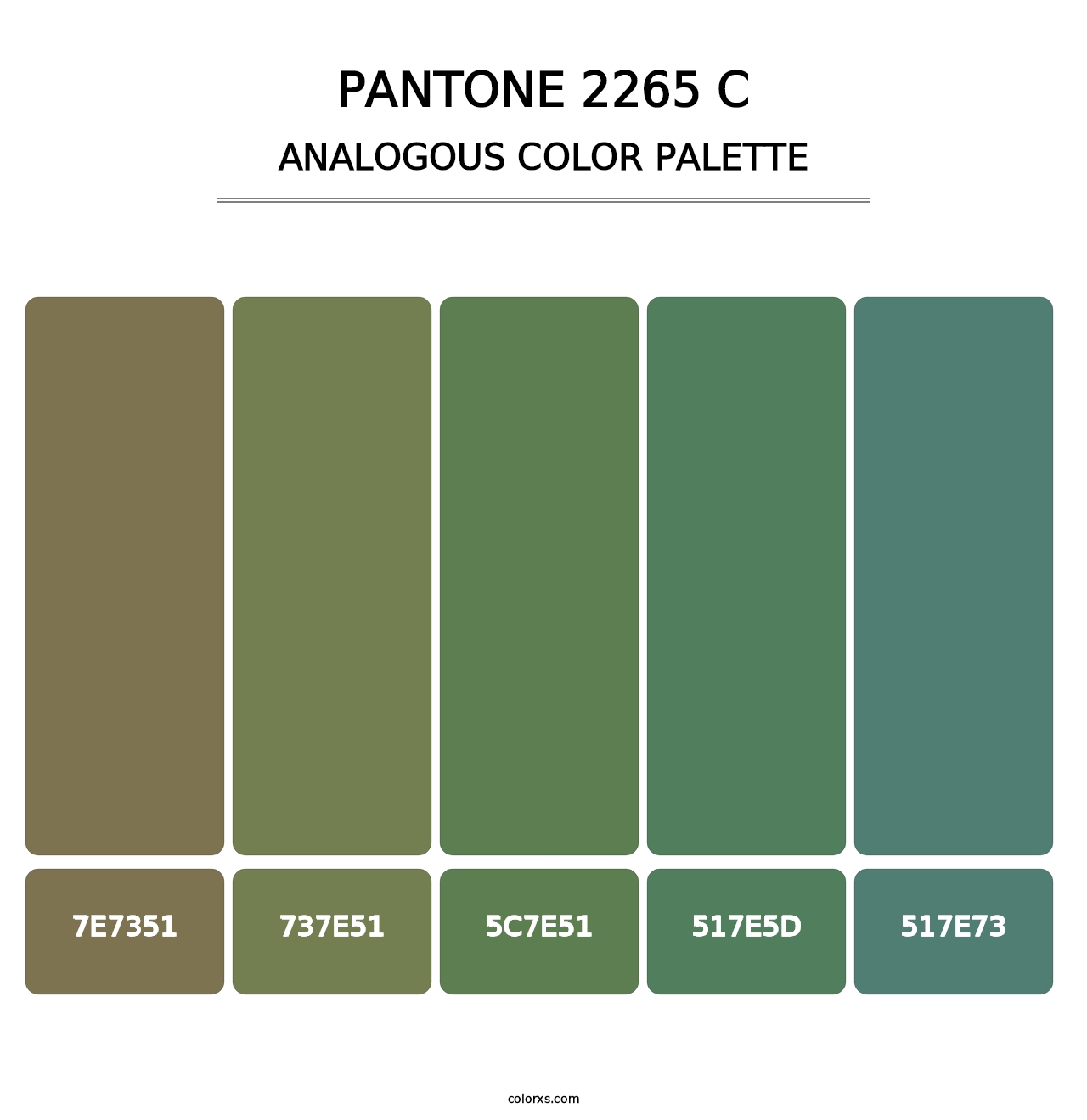 PANTONE 2265 C - Analogous Color Palette