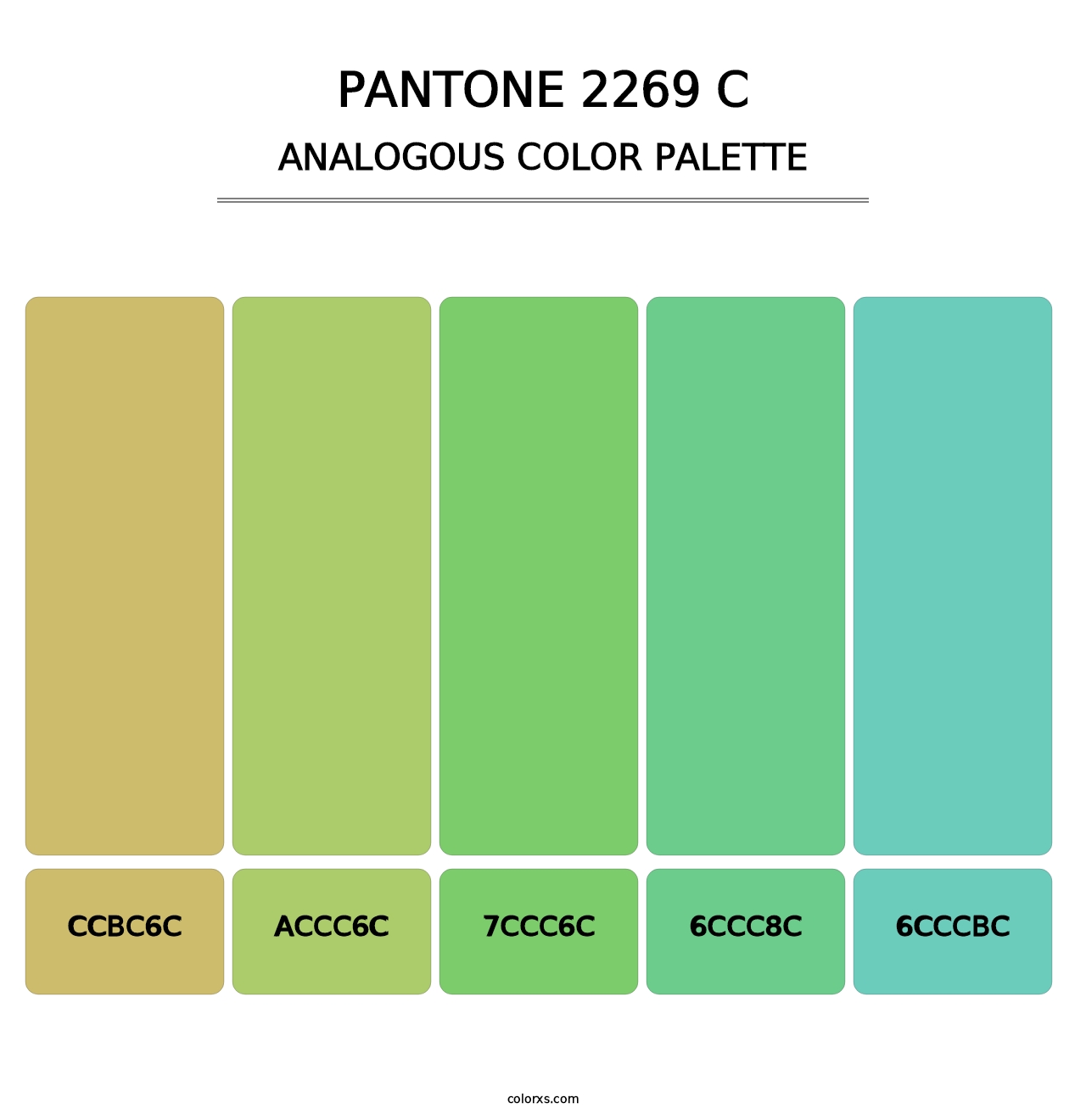 PANTONE 2269 C - Analogous Color Palette