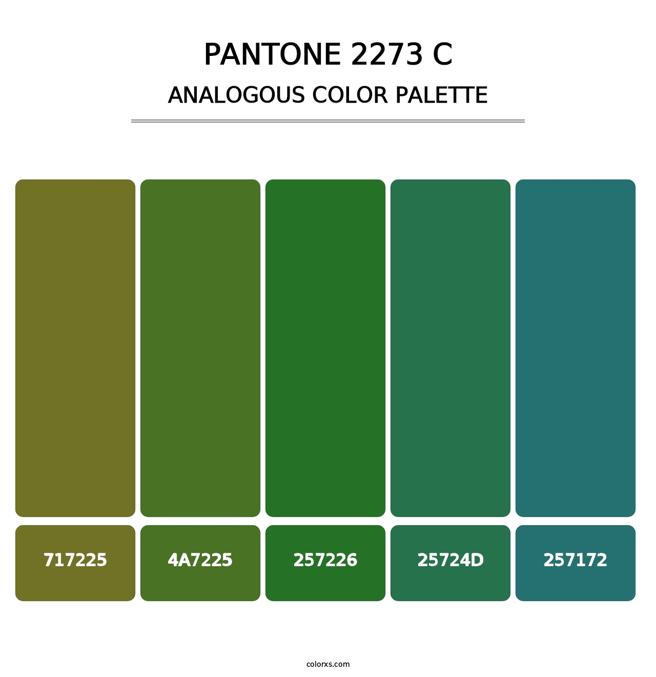 PANTONE 2273 C - Analogous Color Palette
