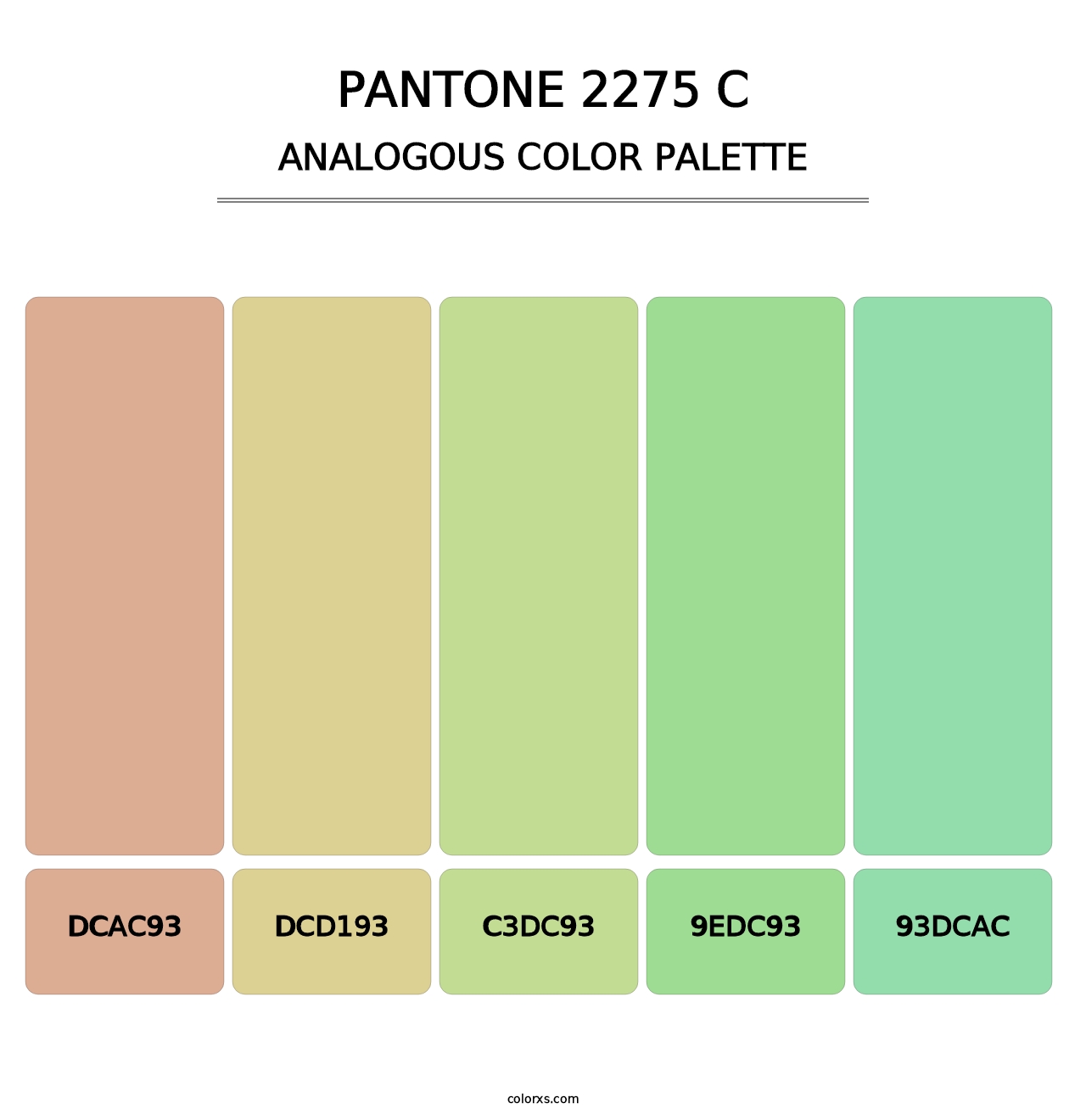 PANTONE 2275 C - Analogous Color Palette