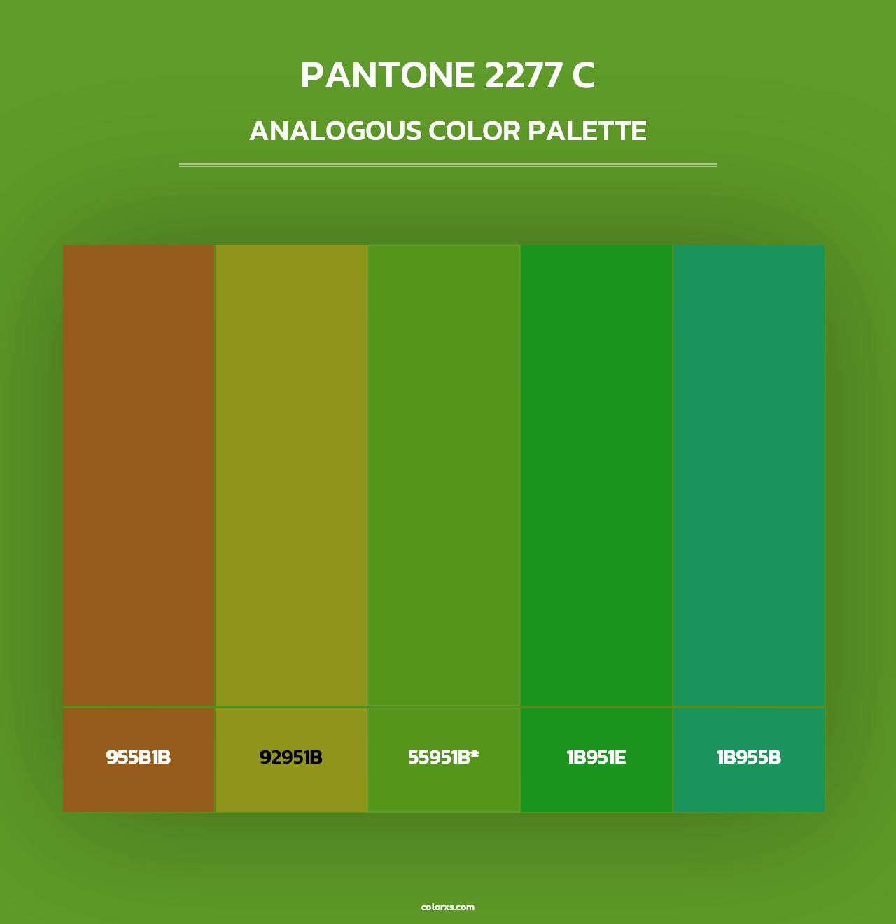 PANTONE 2277 C - Analogous Color Palette