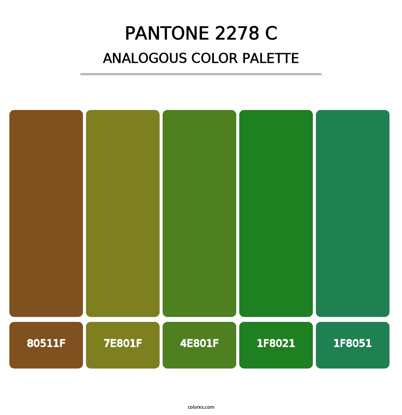 PANTONE 2278 C - Analogous Color Palette