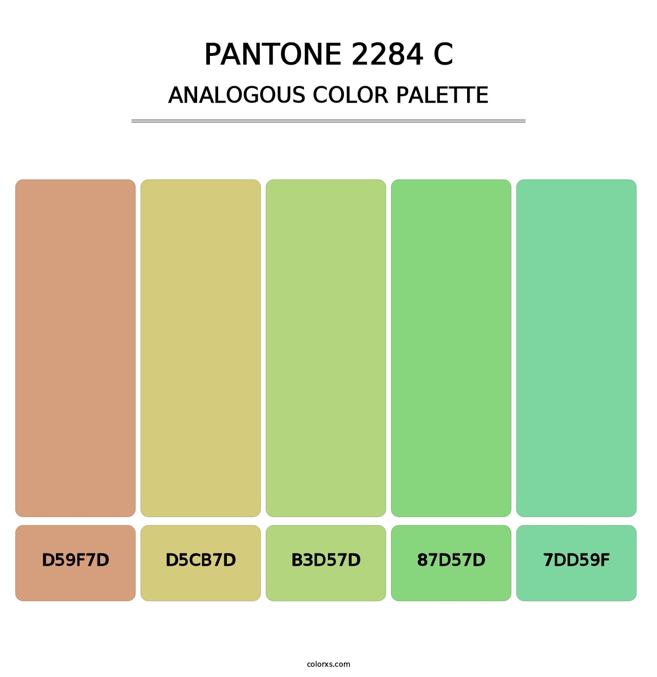 PANTONE 2284 C - Analogous Color Palette