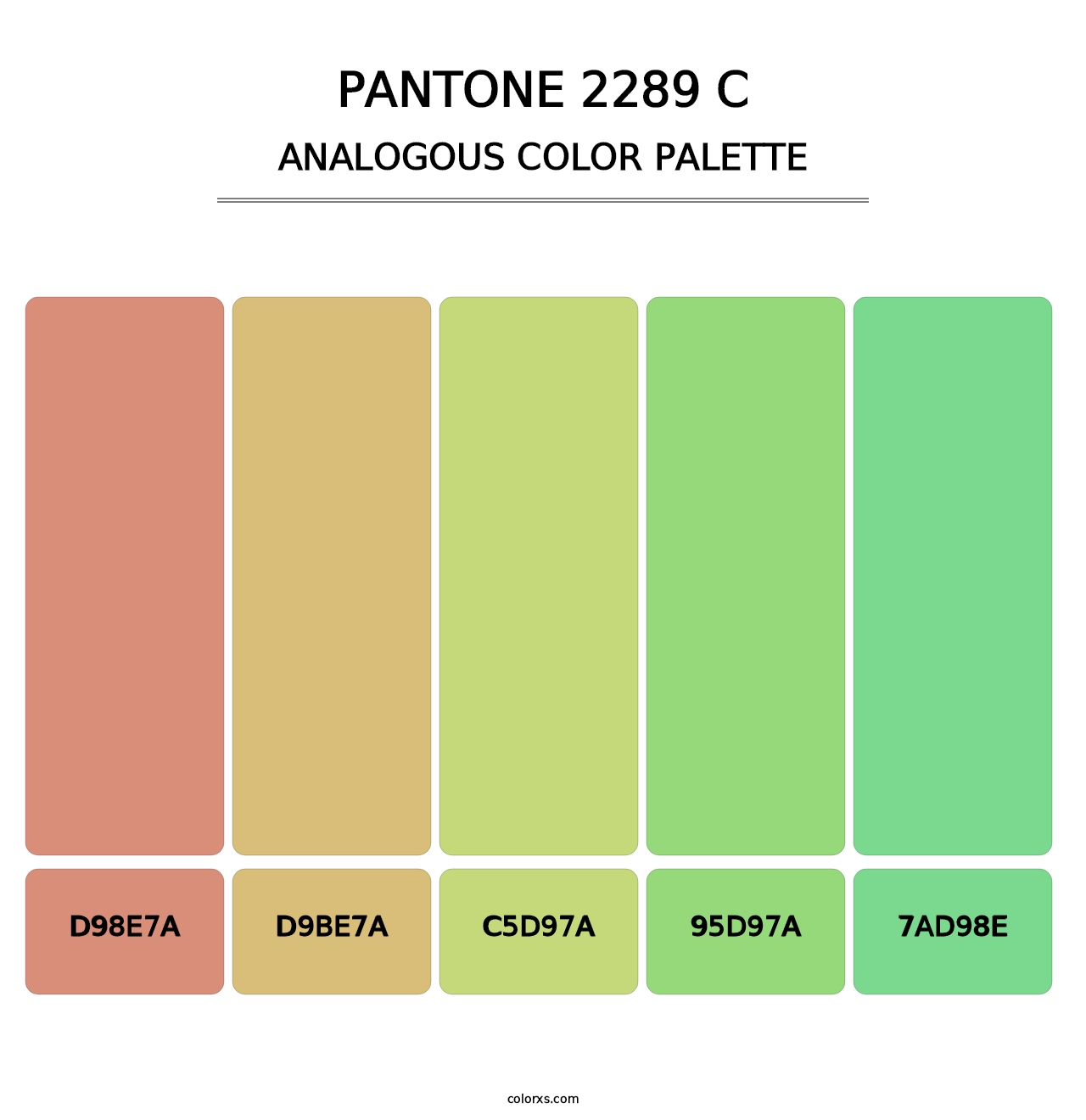 PANTONE 2289 C - Analogous Color Palette