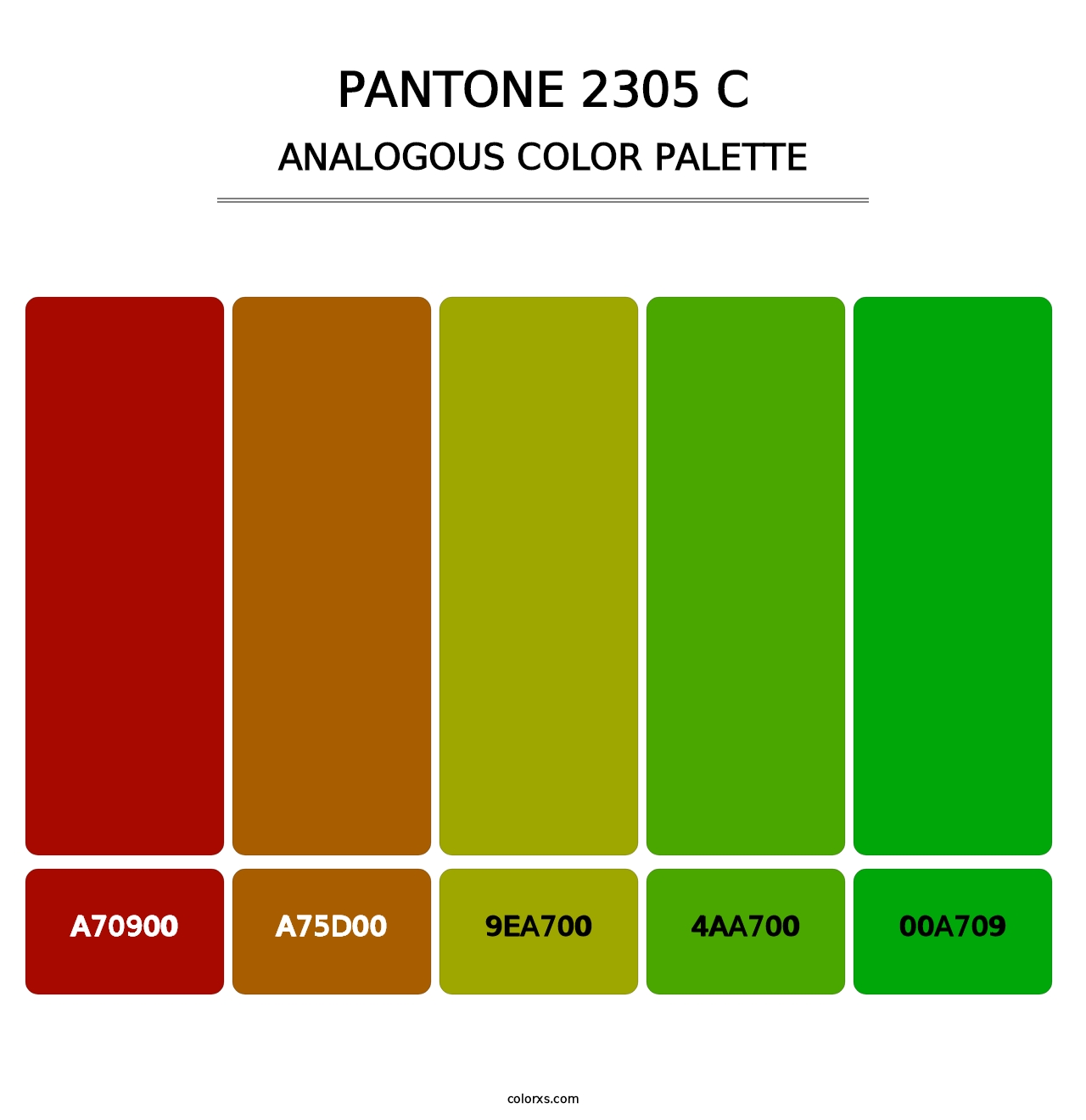 PANTONE 2305 C - Analogous Color Palette
