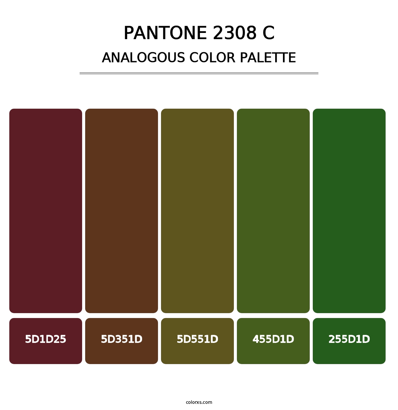 PANTONE 2308 C - Analogous Color Palette