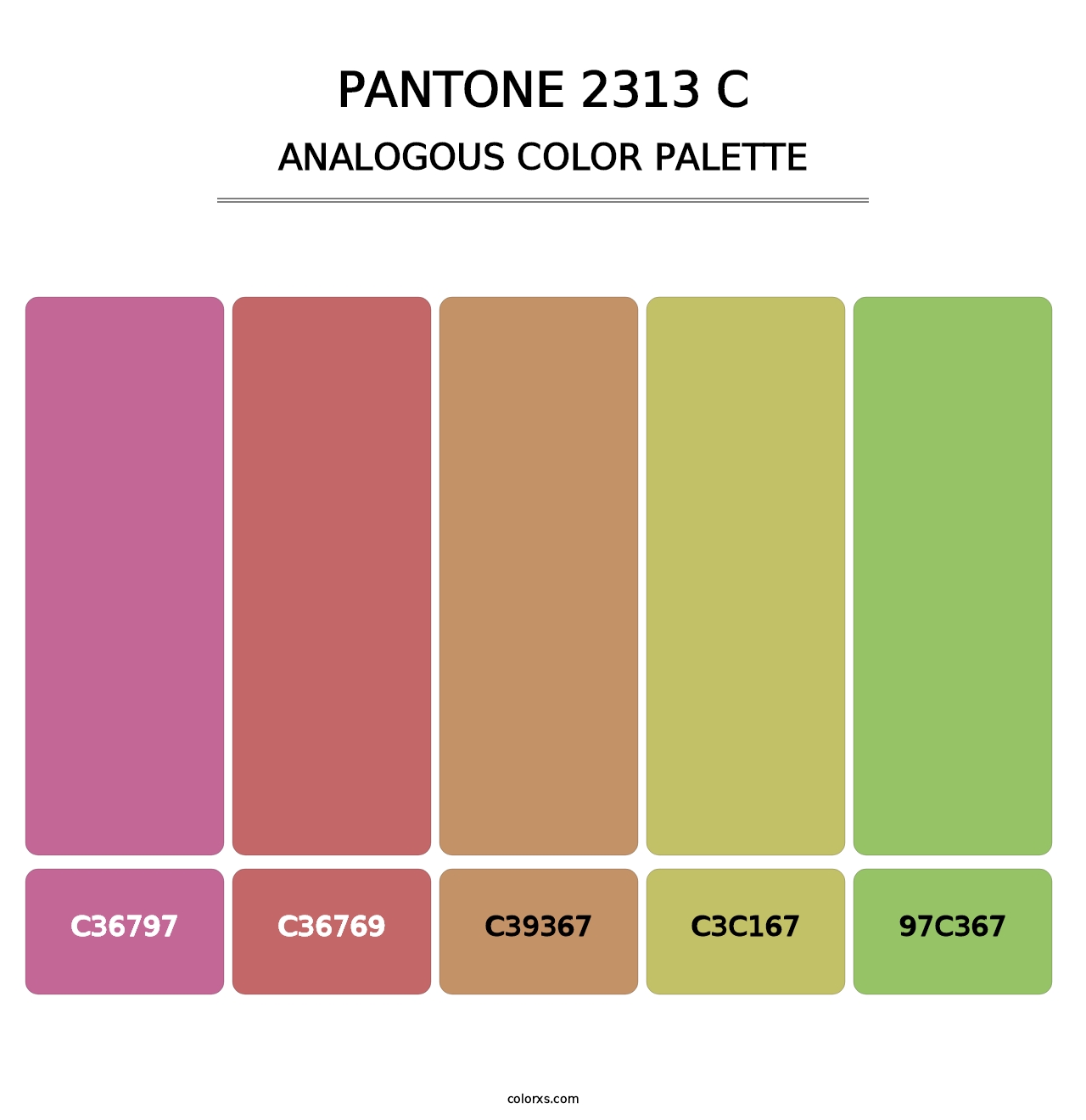 PANTONE 2313 C - Analogous Color Palette