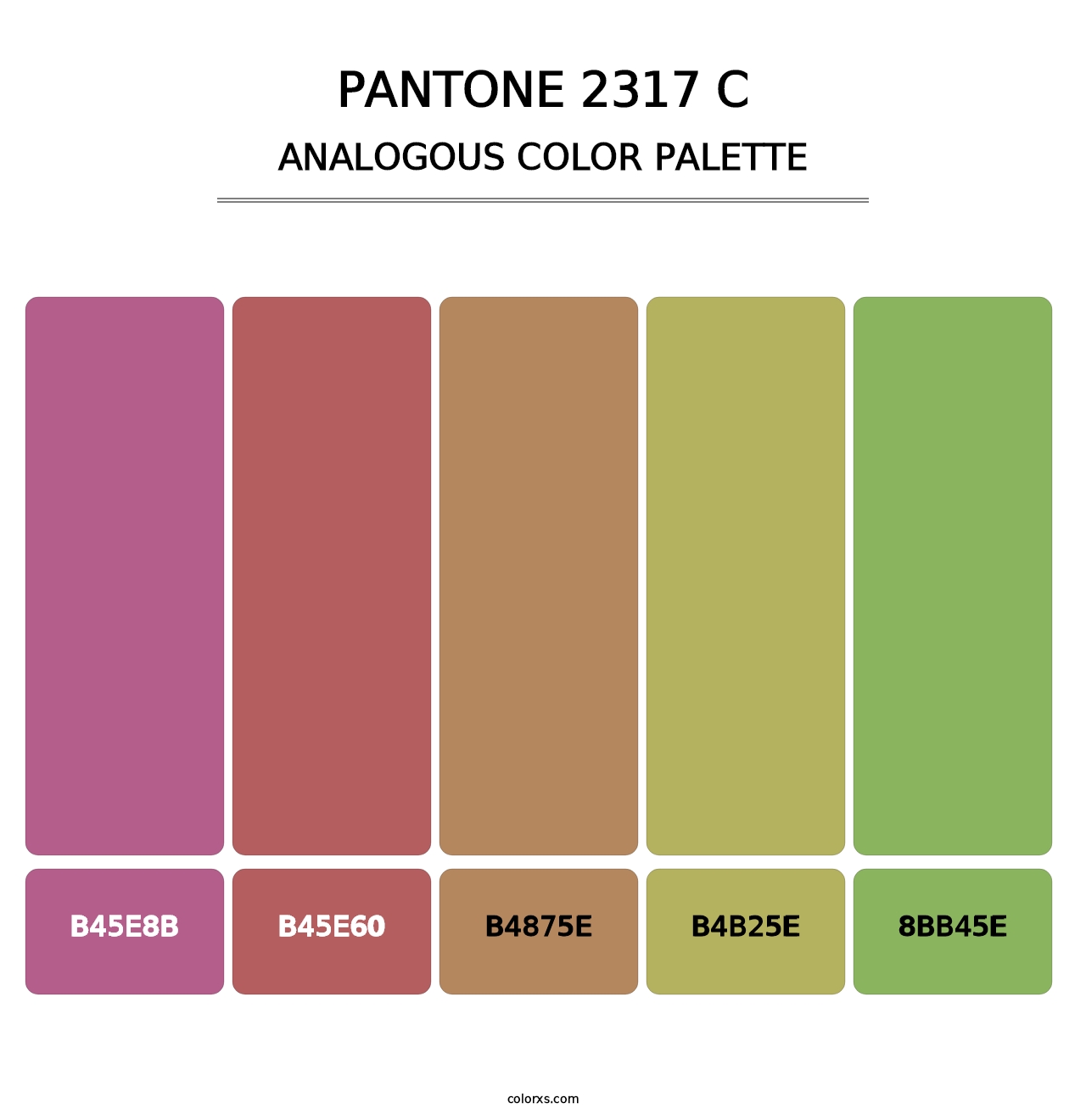 PANTONE 2317 C - Analogous Color Palette
