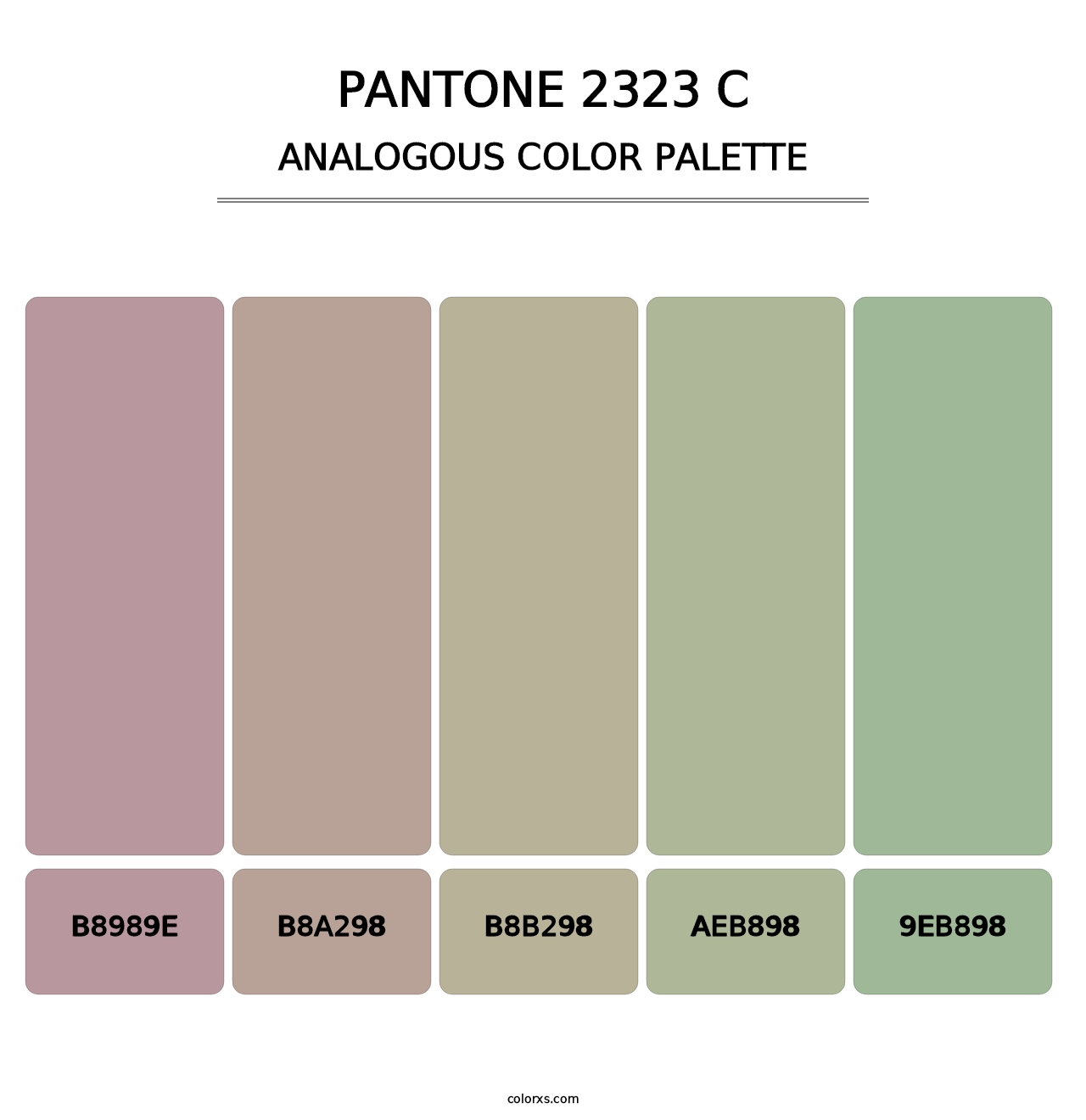 PANTONE 2323 C - Analogous Color Palette