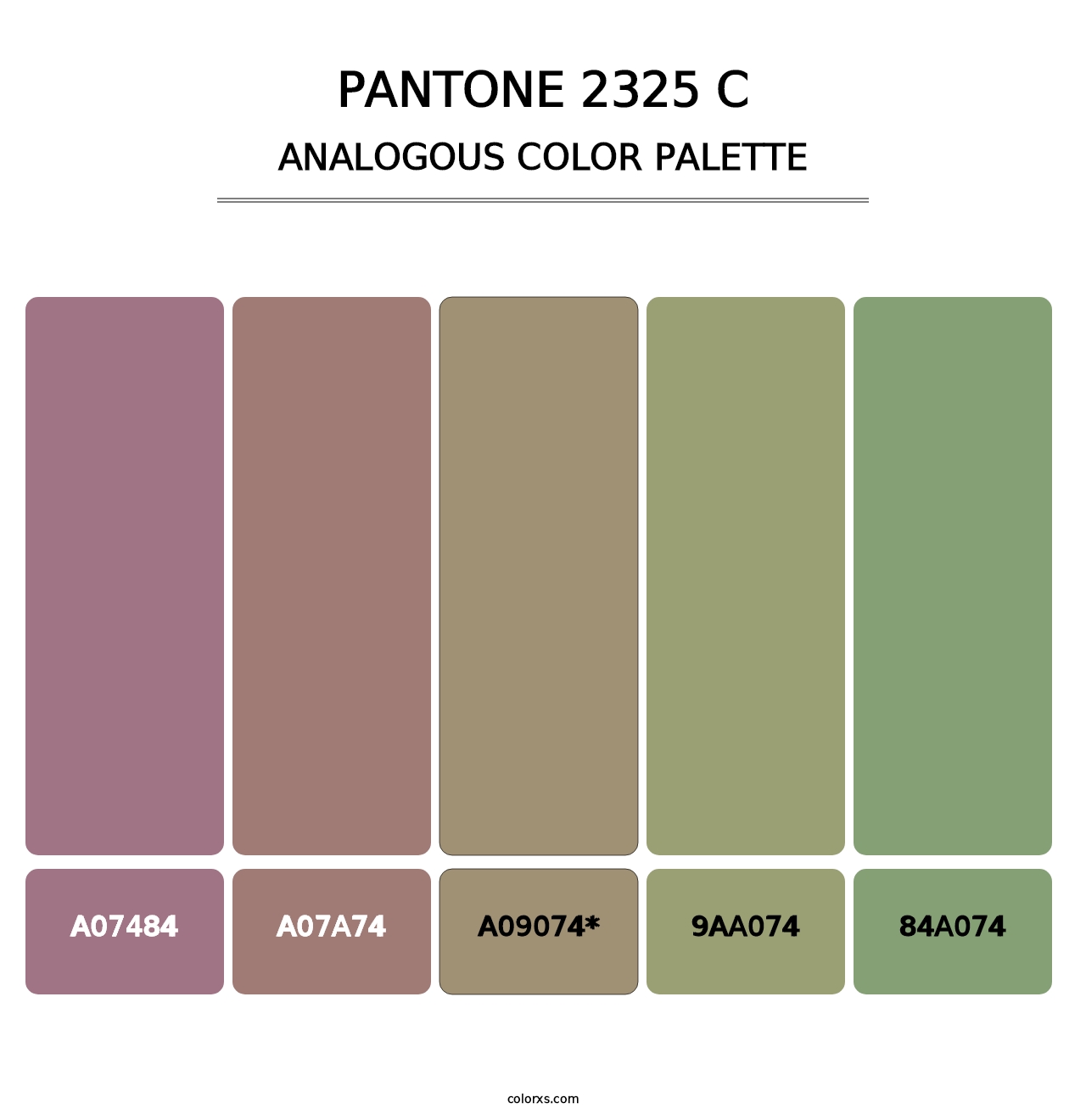 PANTONE 2325 C - Analogous Color Palette