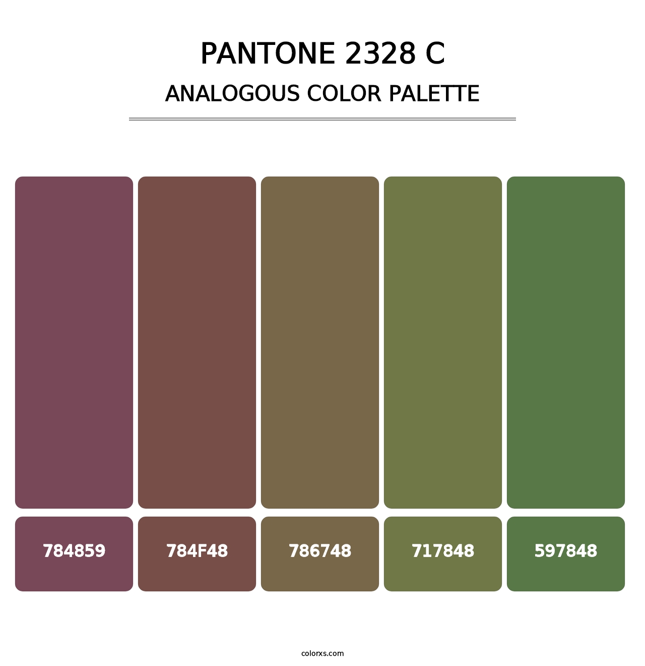PANTONE 2328 C - Analogous Color Palette