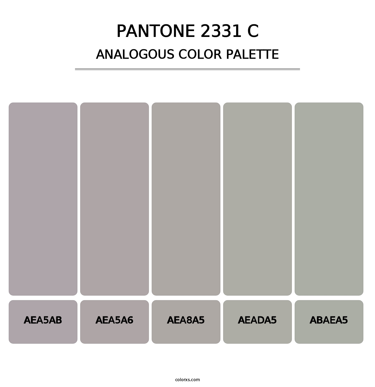 PANTONE 2331 C - Analogous Color Palette