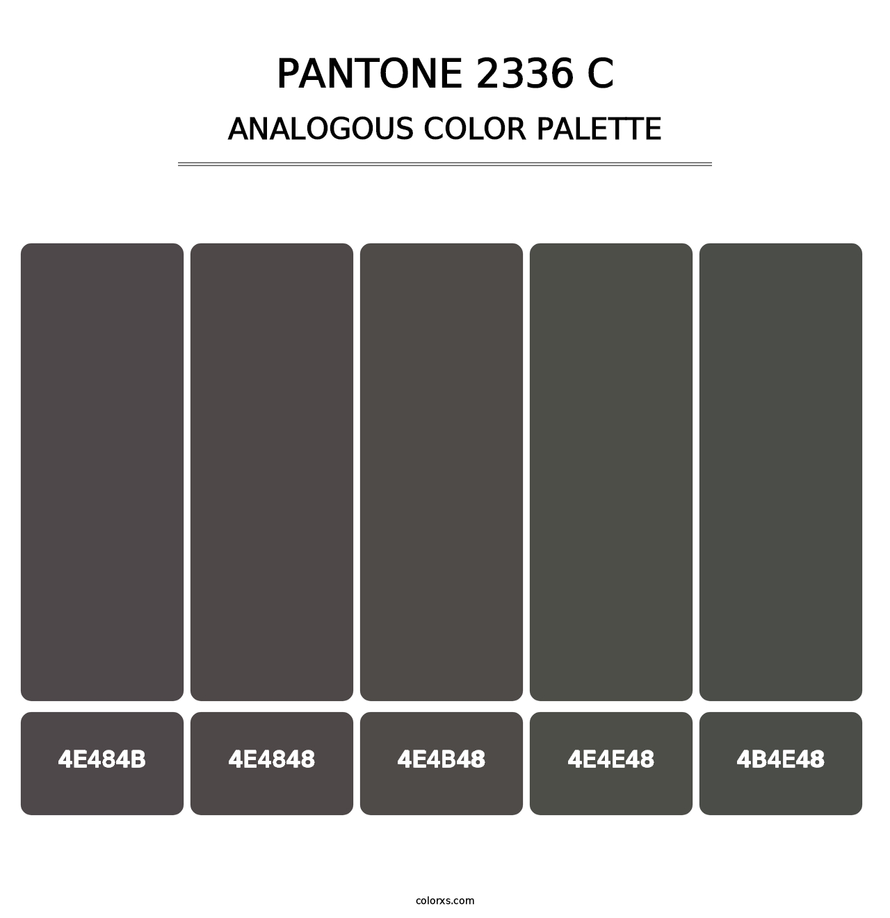 PANTONE 2336 C - Analogous Color Palette