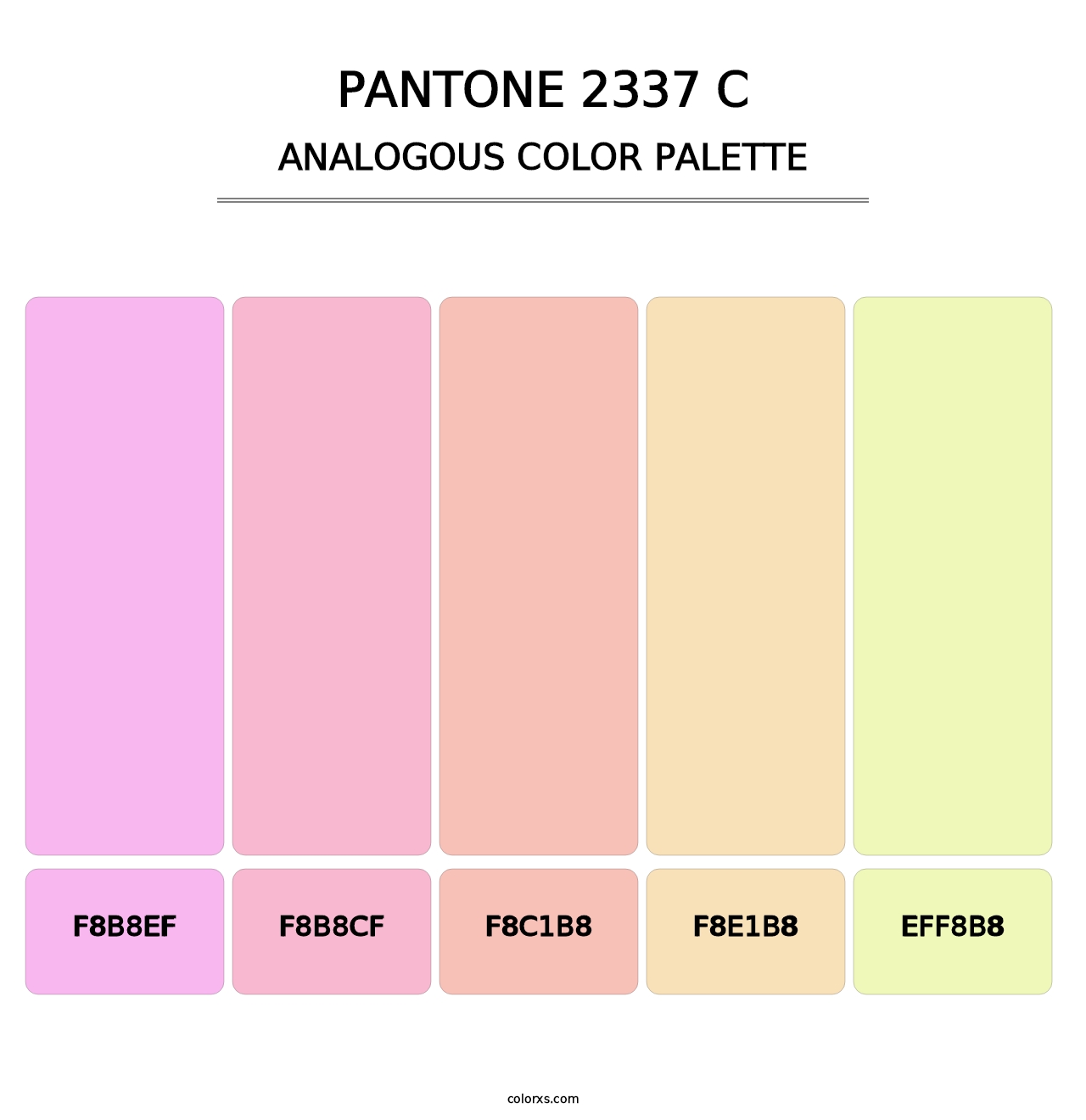 PANTONE 2337 C - Analogous Color Palette