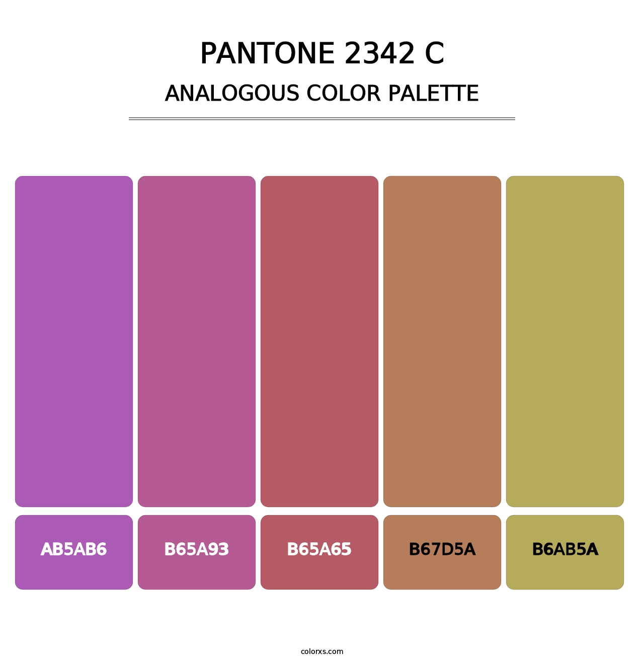 PANTONE 2342 C - Analogous Color Palette