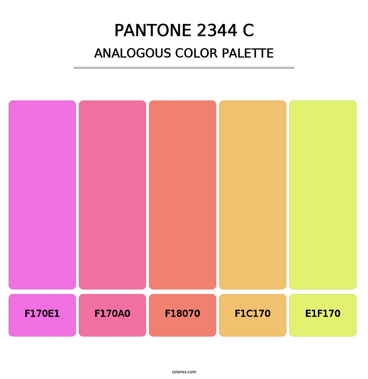 PANTONE 2344 C - Analogous Color Palette