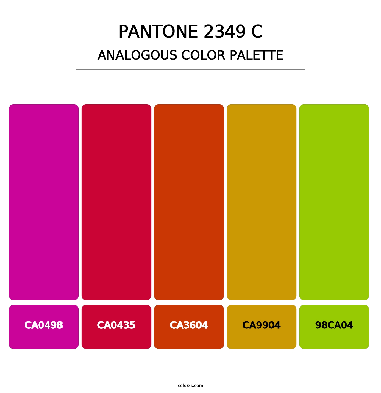 PANTONE 2349 C - Analogous Color Palette