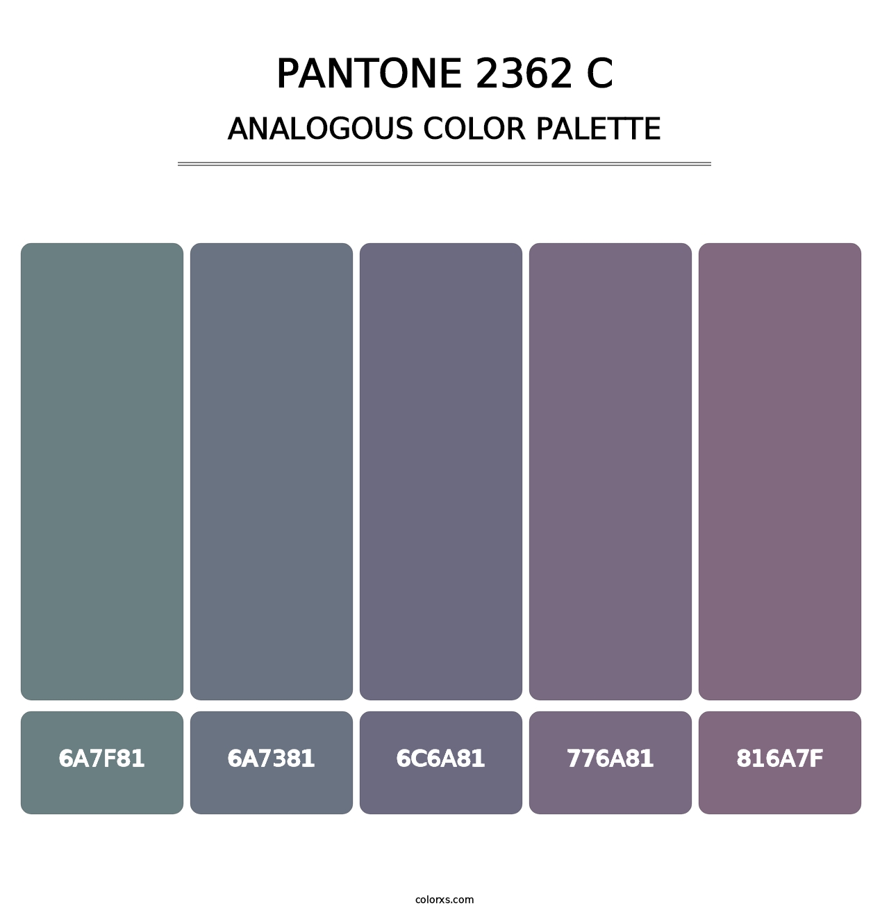 PANTONE 2362 C - Analogous Color Palette
