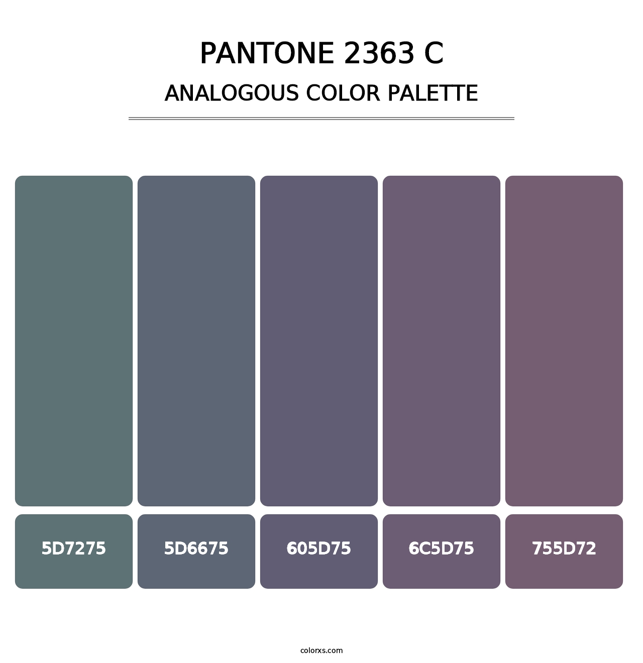 PANTONE 2363 C - Analogous Color Palette