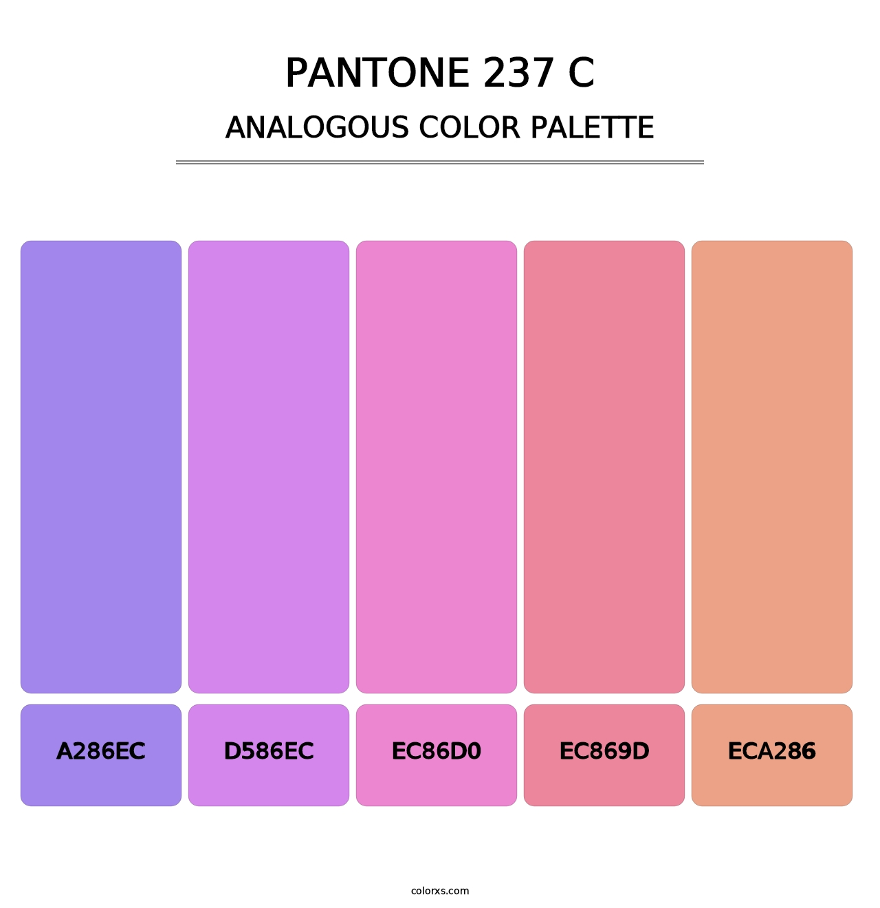 PANTONE 237 C - Analogous Color Palette