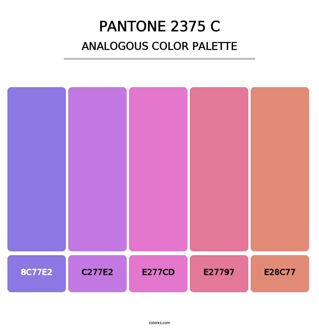 PANTONE 2375 C - Analogous Color Palette