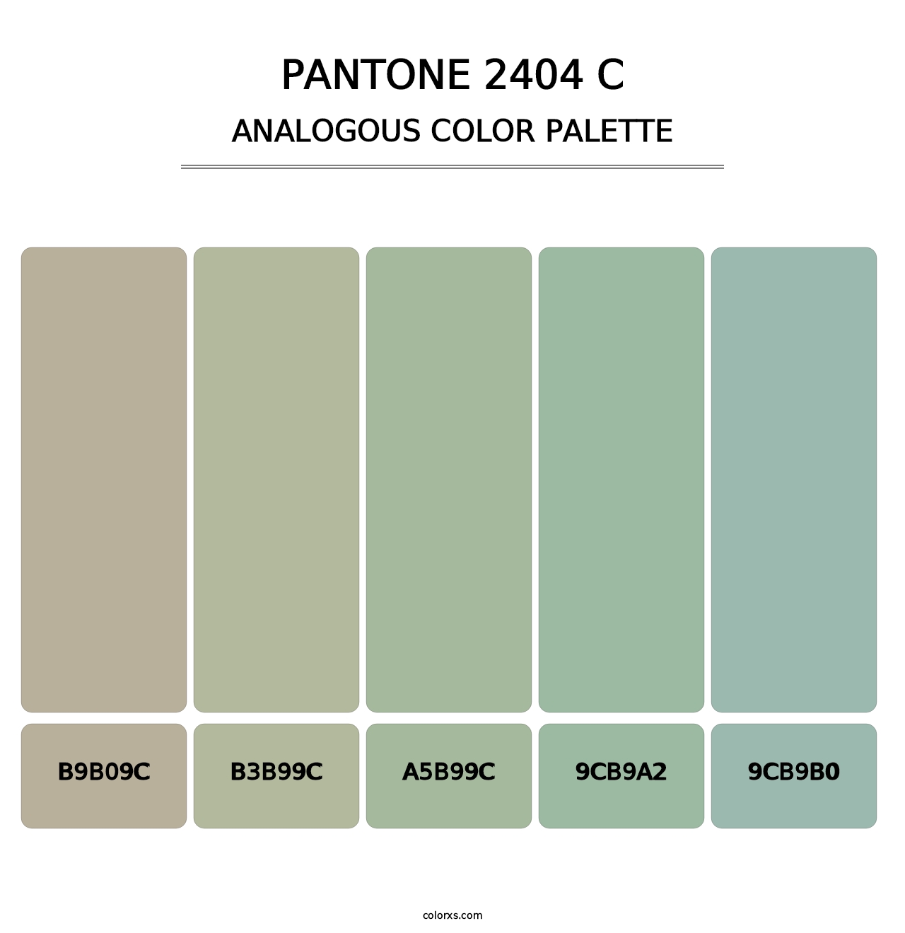 PANTONE 2404 C - Analogous Color Palette