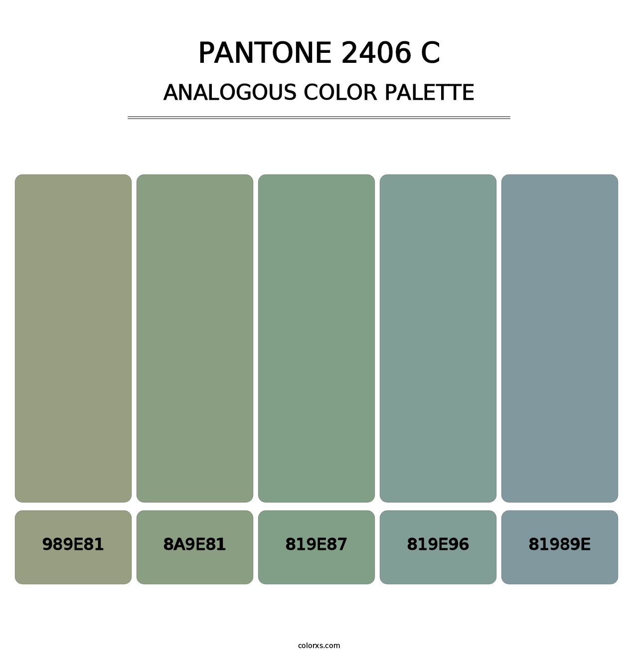 PANTONE 2406 C - Analogous Color Palette