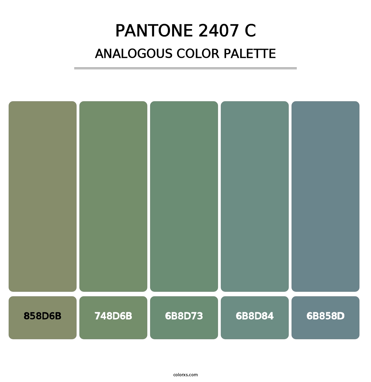 PANTONE 2407 C - Analogous Color Palette