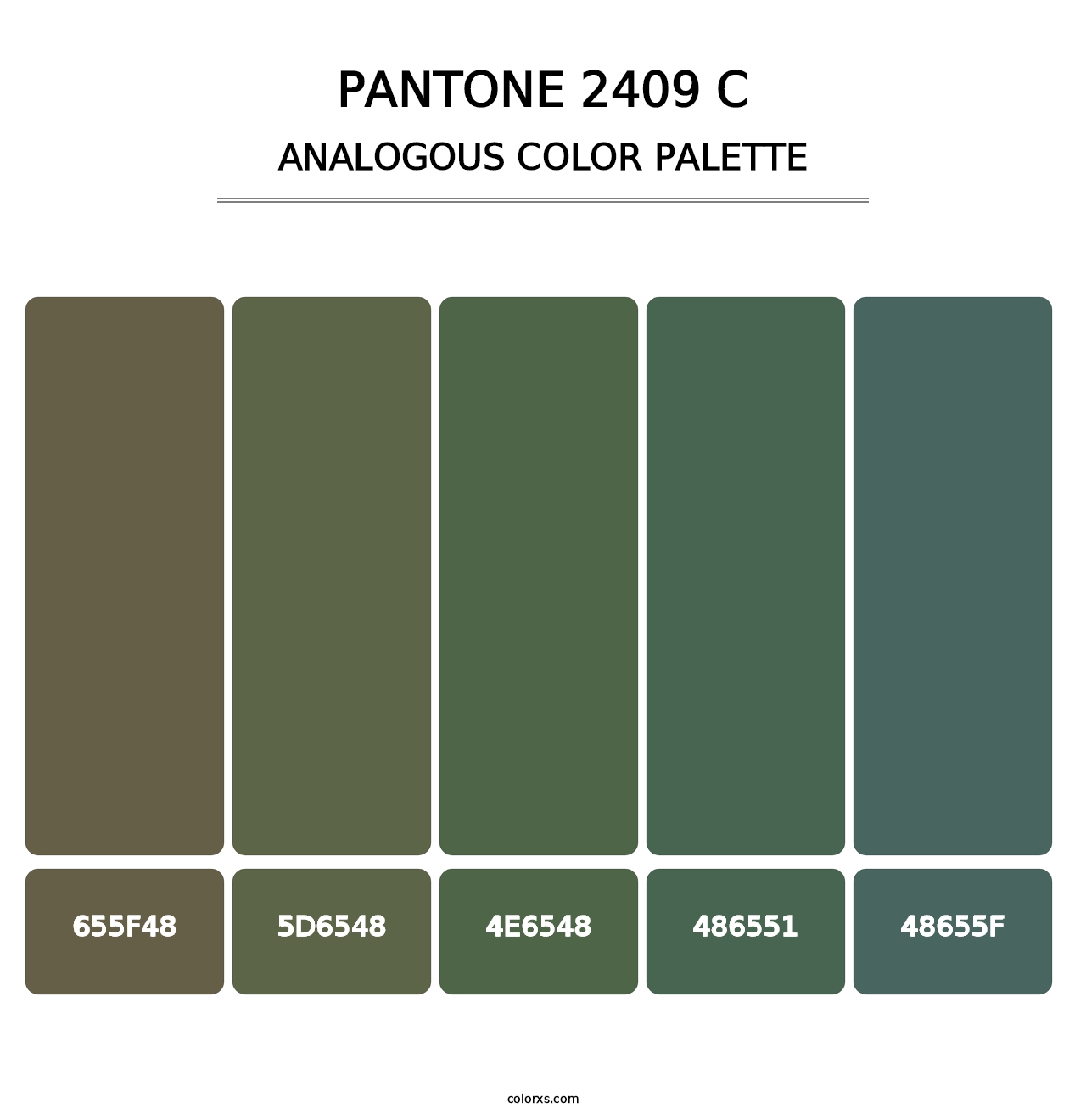 PANTONE 2409 C - Analogous Color Palette