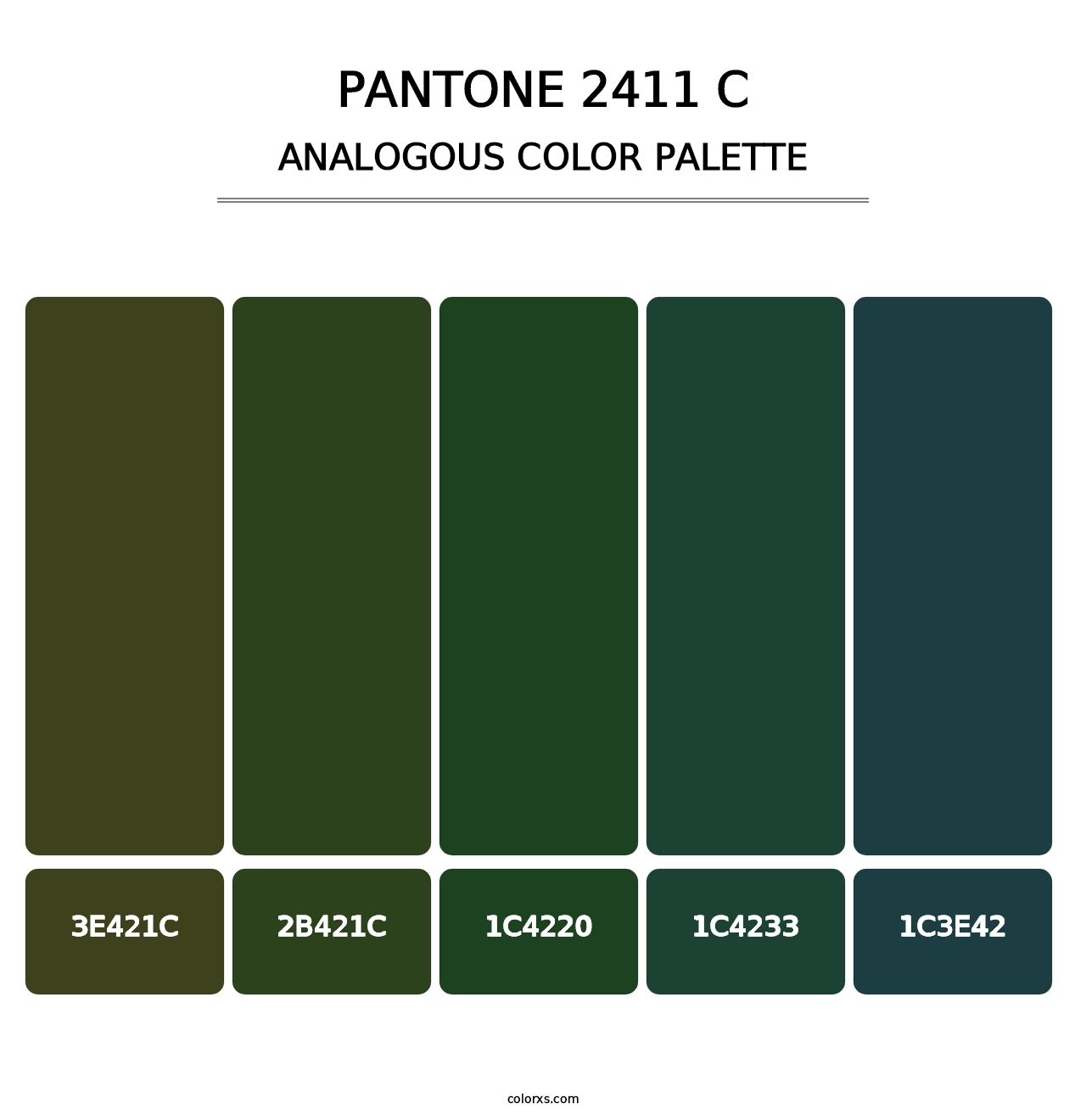 PANTONE 2411 C - Analogous Color Palette