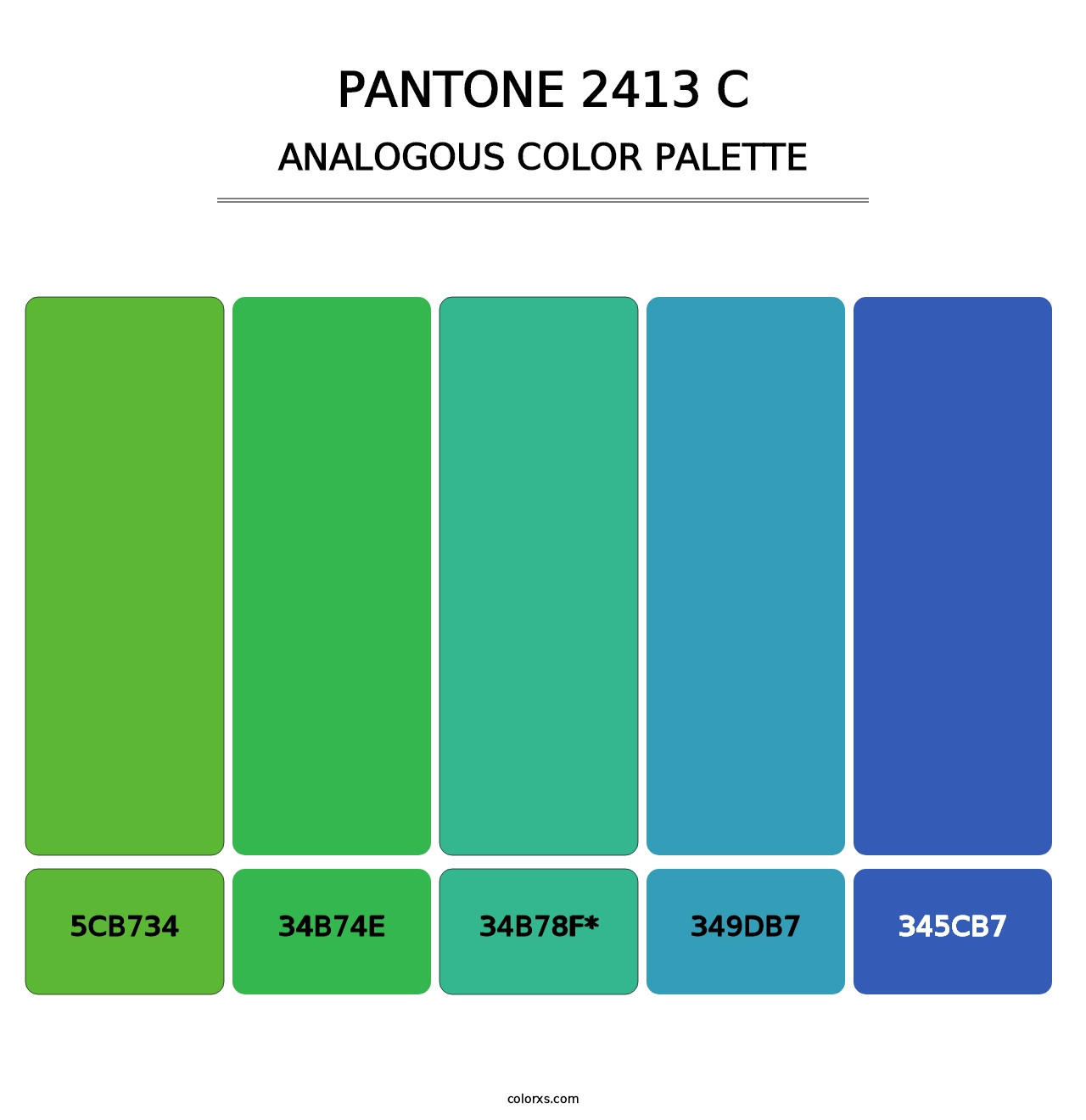 PANTONE 2413 C - Analogous Color Palette