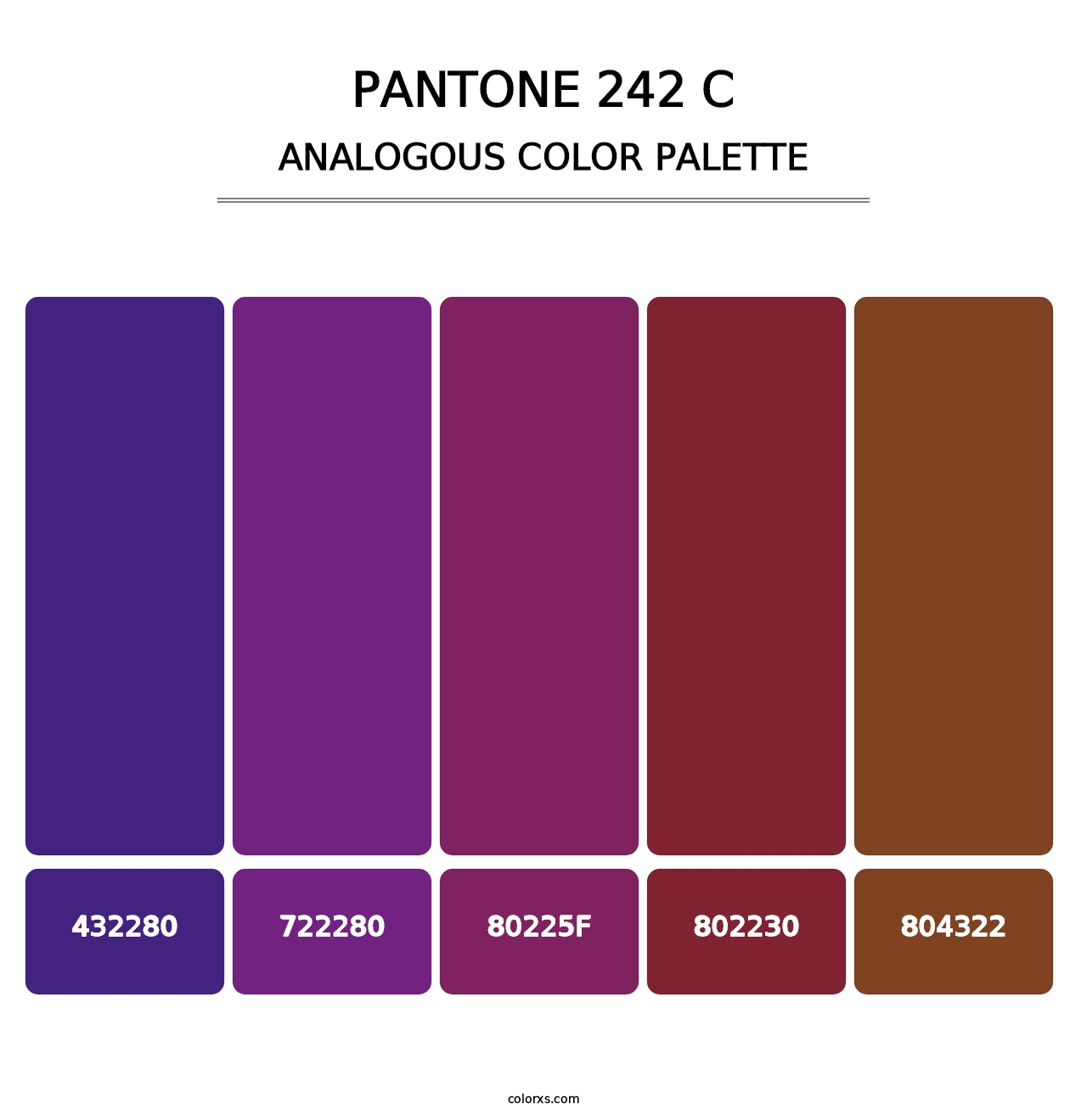 PANTONE 242 C - Analogous Color Palette