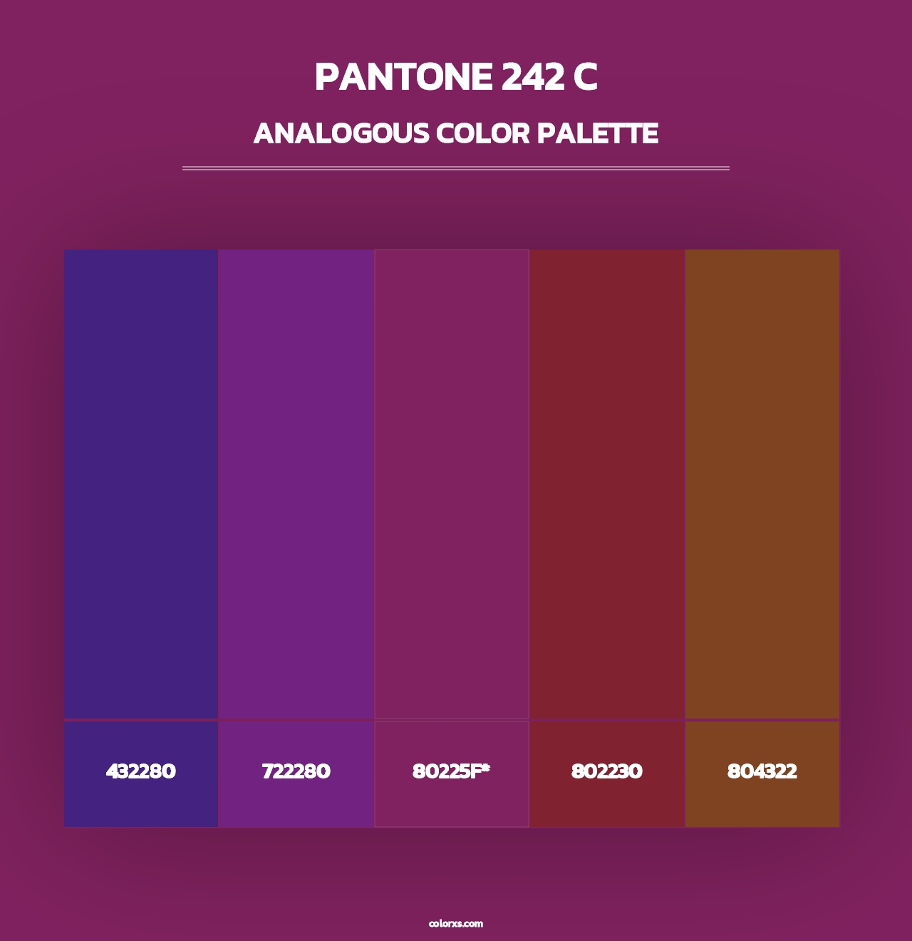 PANTONE 242 C - Analogous Color Palette