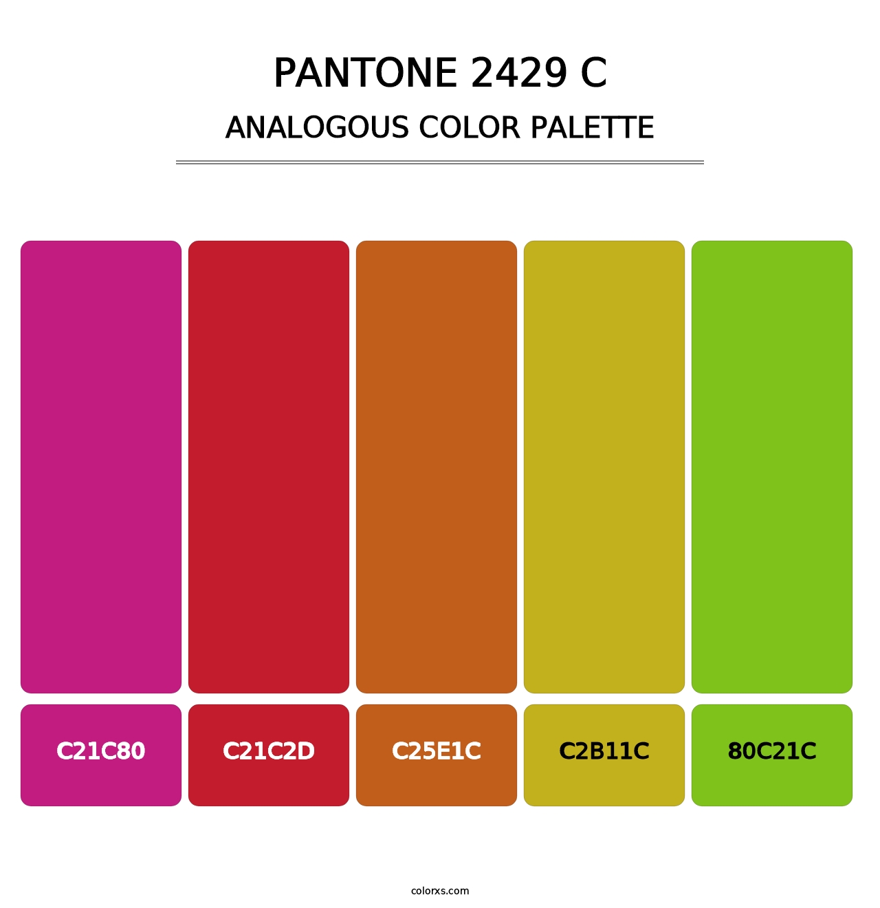 PANTONE 2429 C - Analogous Color Palette