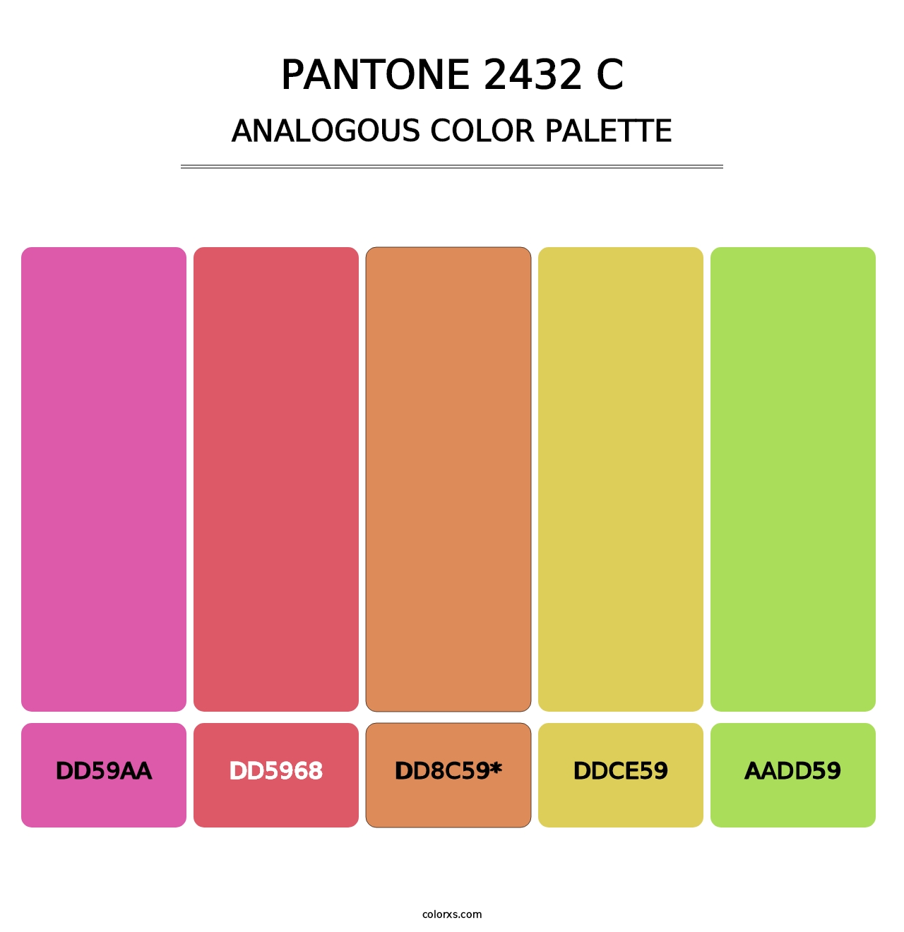 PANTONE 2432 C - Analogous Color Palette
