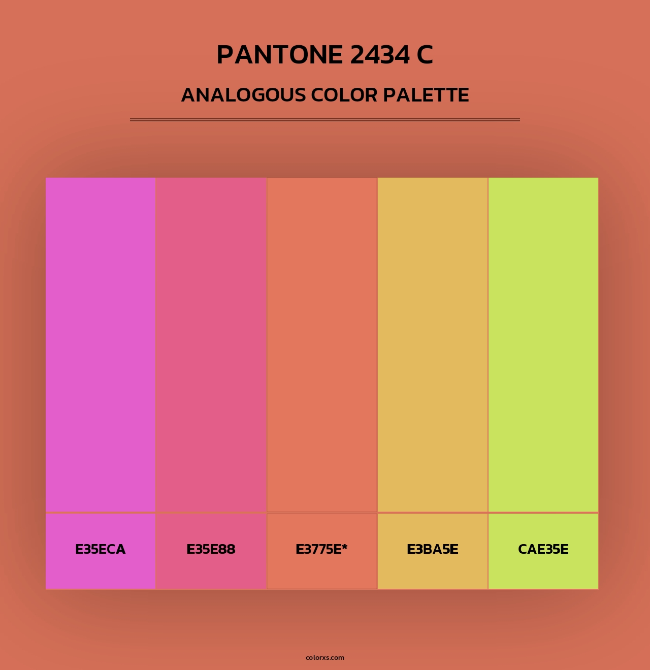 PANTONE 2434 C - Analogous Color Palette