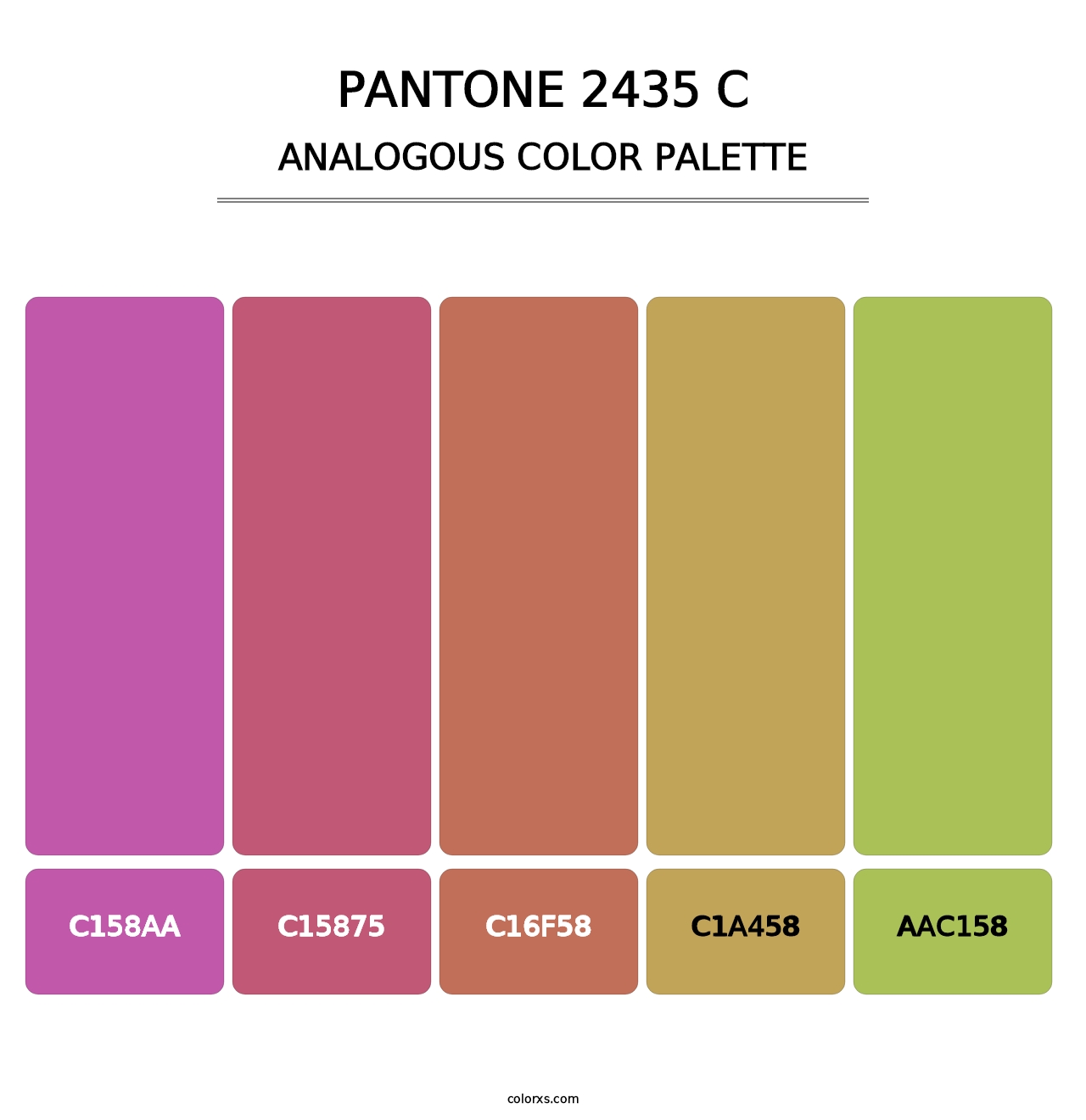 PANTONE 2435 C - Analogous Color Palette