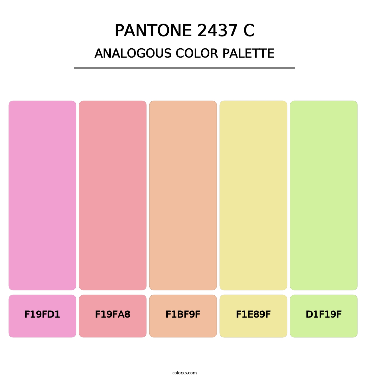 PANTONE 2437 C - Analogous Color Palette