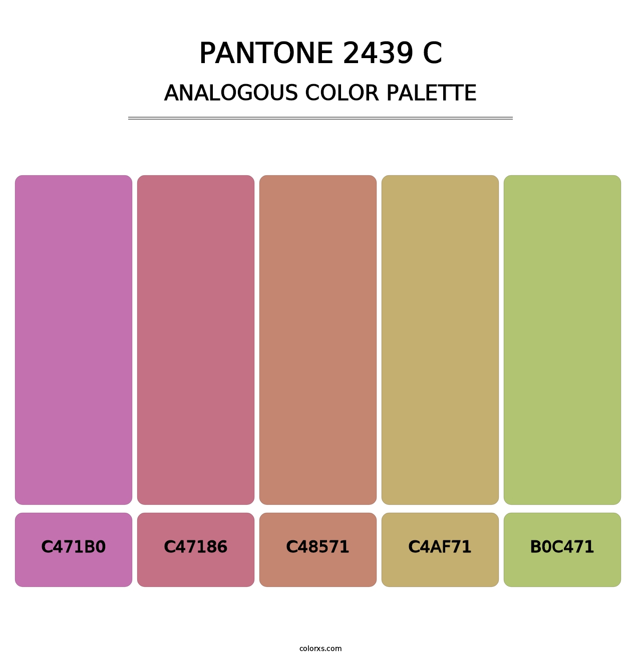 PANTONE 2439 C - Analogous Color Palette