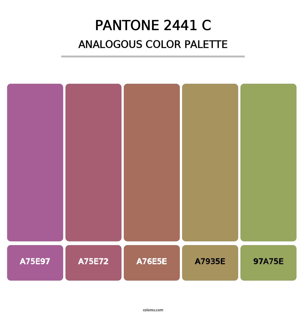 PANTONE 2441 C - Analogous Color Palette
