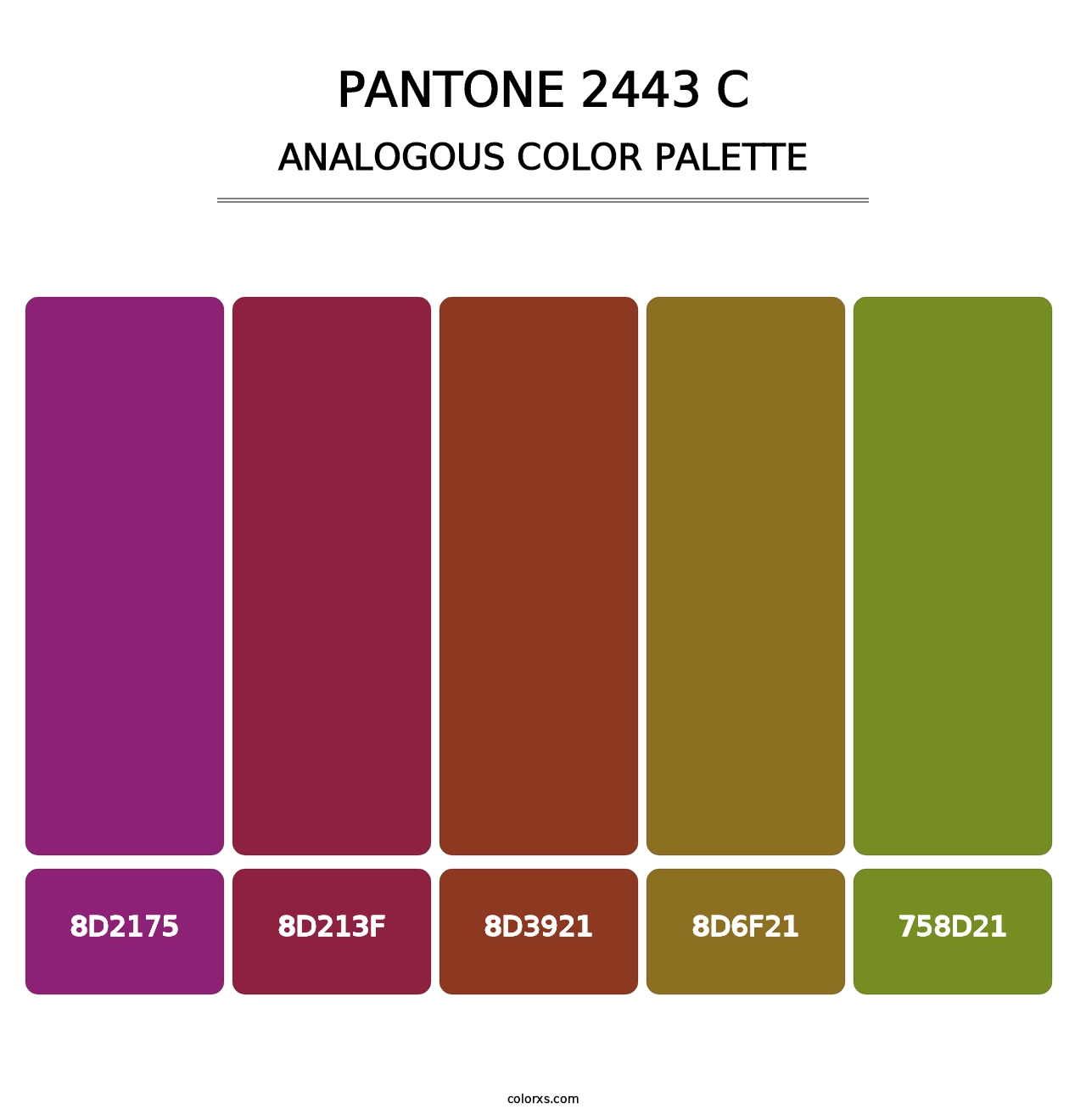 PANTONE 2443 C - Analogous Color Palette