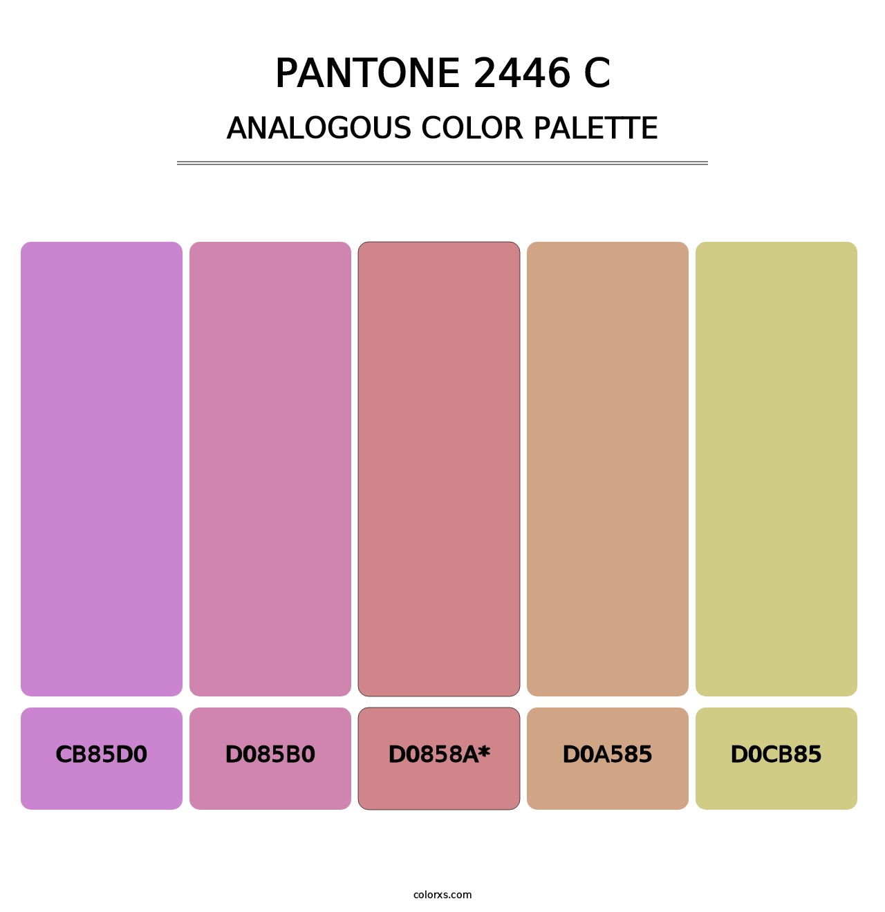 PANTONE 2446 C - Analogous Color Palette