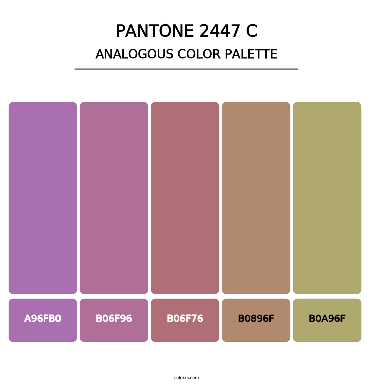 PANTONE 2447 C - Analogous Color Palette