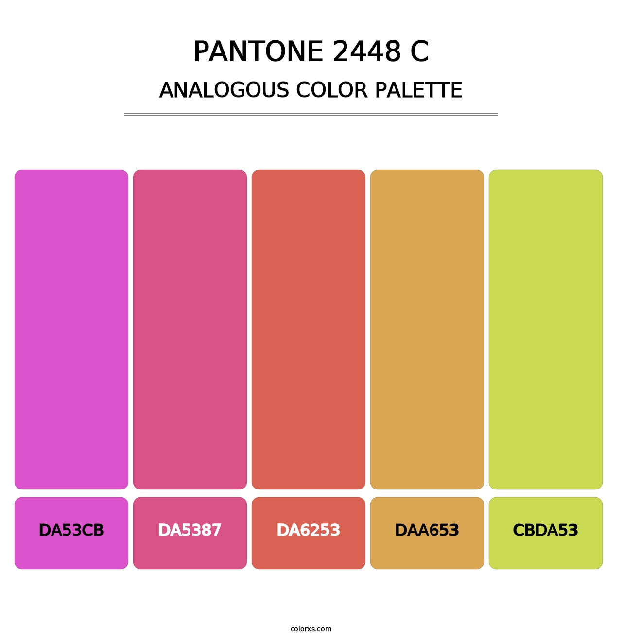 PANTONE 2448 C - Analogous Color Palette