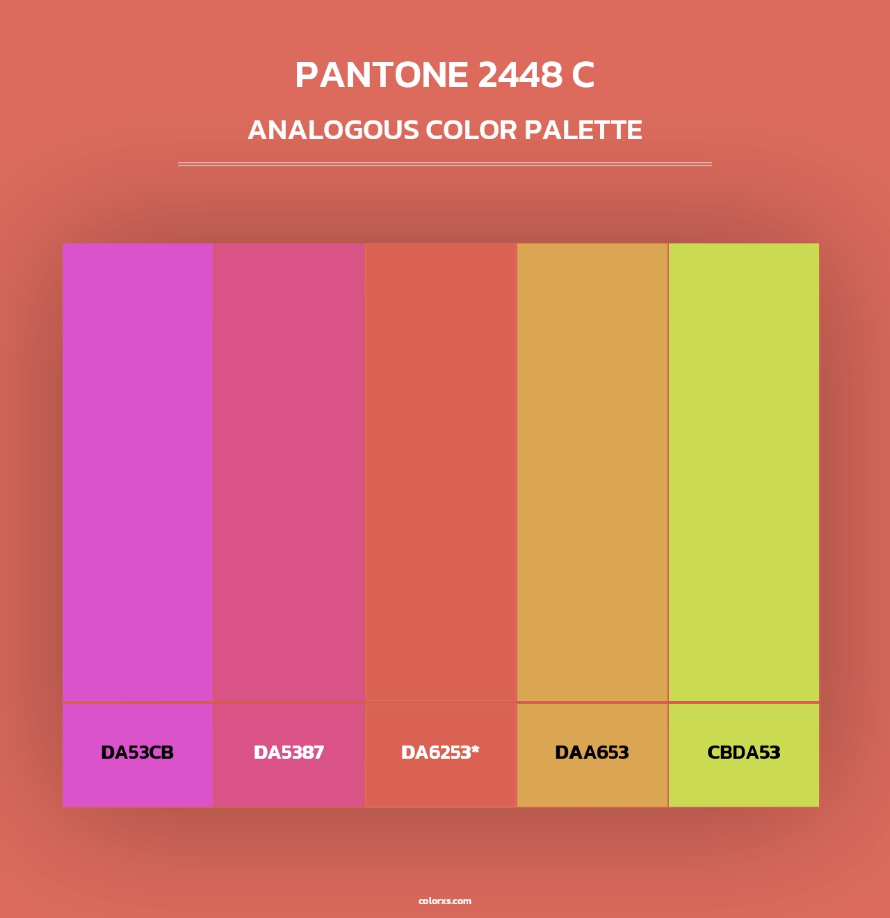 PANTONE 2448 C - Analogous Color Palette