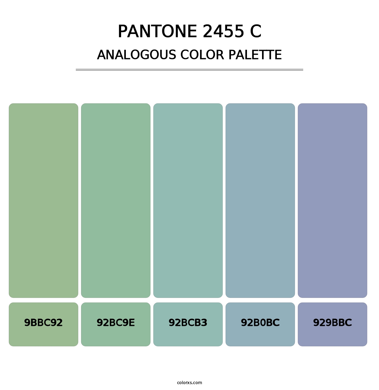 PANTONE 2455 C - Analogous Color Palette