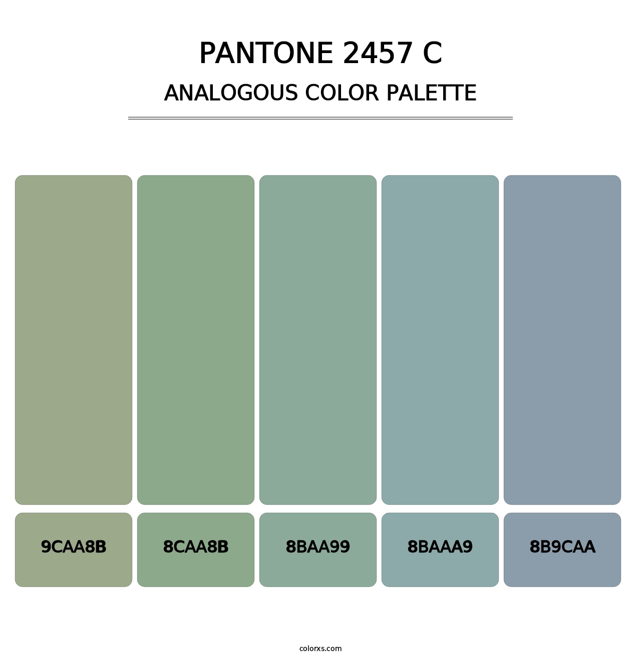 PANTONE 2457 C - Analogous Color Palette