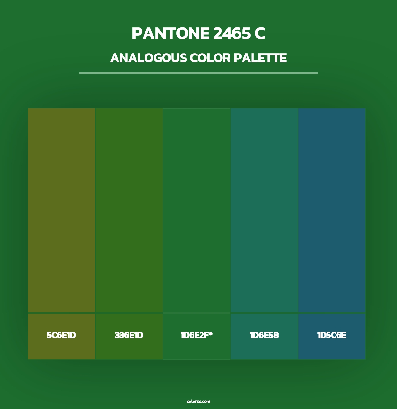 PANTONE 2465 C - Analogous Color Palette