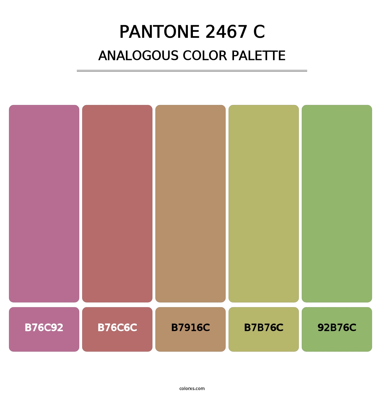 PANTONE 2467 C - Analogous Color Palette