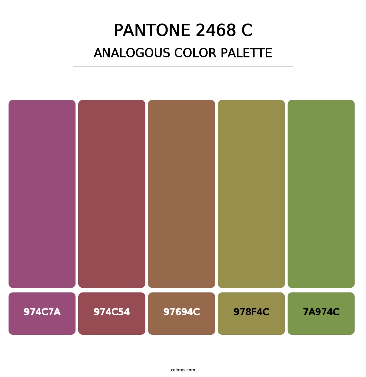 PANTONE 2468 C - Analogous Color Palette